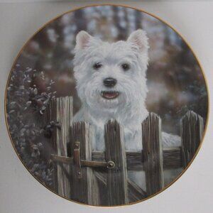 Danbury Mint  Westie collector plate